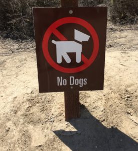 Trail signage stating "No Dogs"