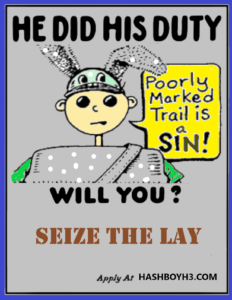 Hash Boy Do Your Duty Poster - Seize the Lay